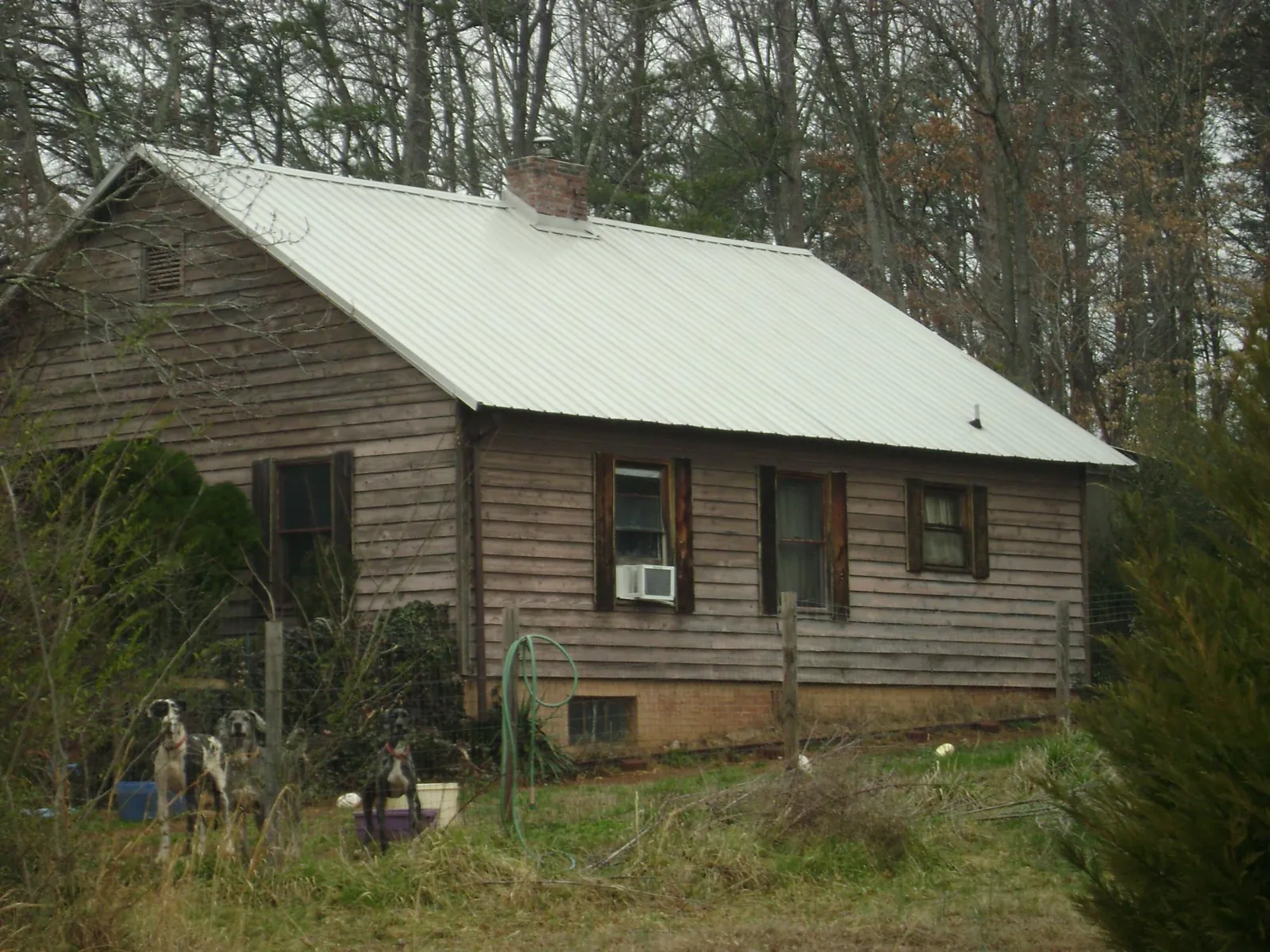 White metal roof on an old wood sided farmhouse, from a Asphalt Shingle Roof Repair job in Saint Johns